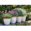 Sundhya Pot Planter-1759075832-1759075834