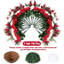 2 paniers de fleurs suspendus pour Noël