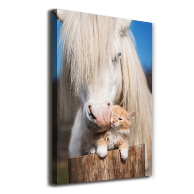 White horse with a cat 1 Piece Wrapped Canvas Wall Art