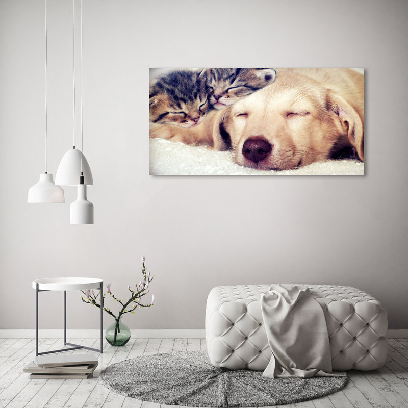 Puppy And Cats - Wrapped Canvas Print