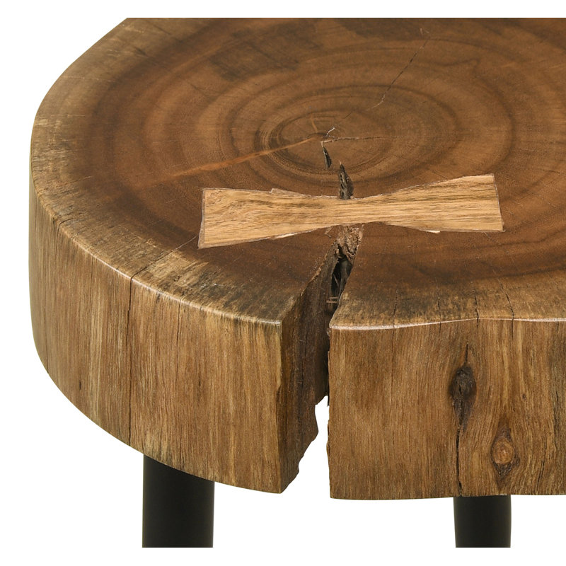 Round Solid Tree Trunk Side Table