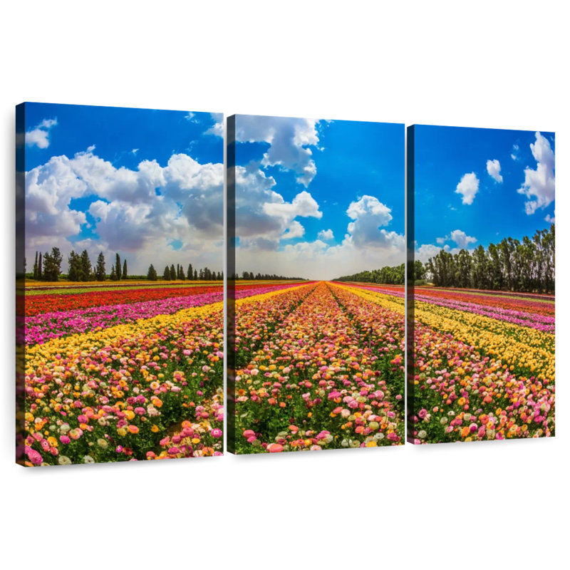 Champ de fleurs de kibboutz Alvord, H 48 po x l 74 po