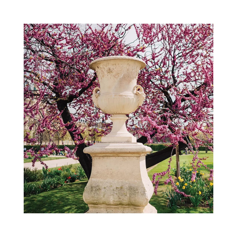 Tuileries Garden VI by Bethany Young - Print on Canvas, 45.72cm H x 45.72cm W x 3.81cm D, Wrapped Canvas
