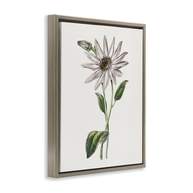 Cadre flottant Vintage Mum Sprig, design par CAD Designs, H 21 po x l 17 po, Cadre flottant orme Montalcino