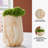 Kadey Ceramic Table Vase