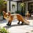 Realistic Red Fox Figurine