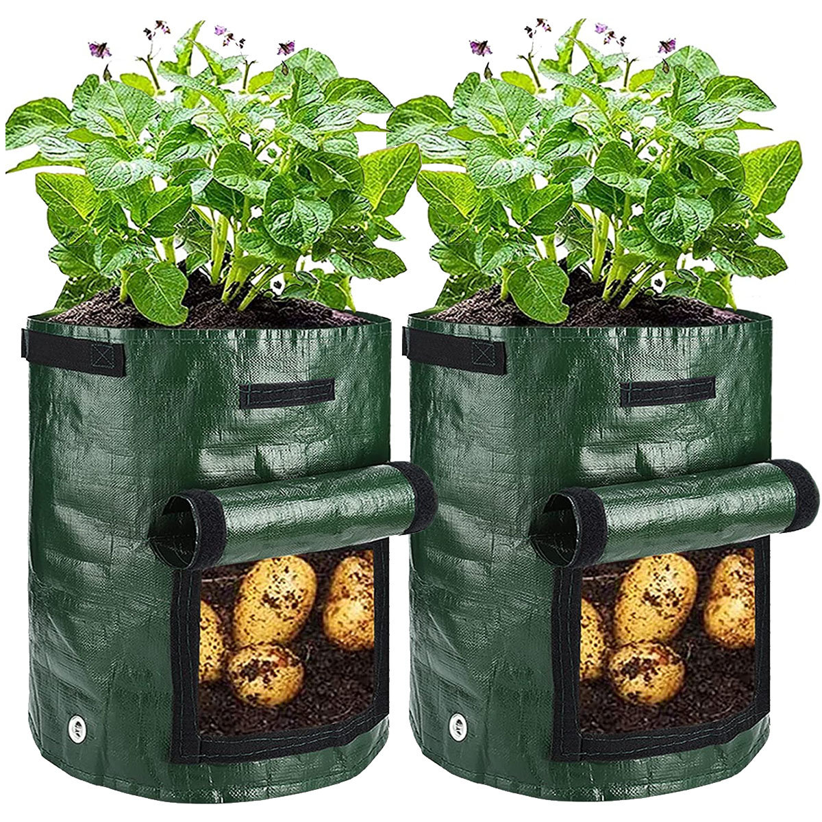 Gwenette 3 Growing Bags with Transparent Window Arlmont & Co. Size: 13.8 H x 11.8 W x 11.8 D