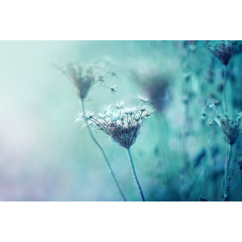 Lace Wildflowers by Jasmina007 - Print, 51cm H x 76cm W