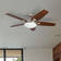 Carmel 48'' Ceiling Fan with LED Lights and Remote Included