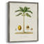 Arbre antique avec fruit II, reproduction encadrée - bois massif-1654444866