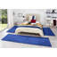 Fancy Blue Rug