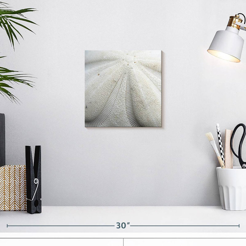 Crowle Textured Sand Dollar, 10" H x 10" W