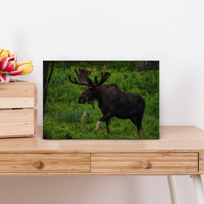Contemporary Art Colorful Vibrant Abstract Animal Forest Wall Art 1 Piece Wrapped Canvas Wall Art