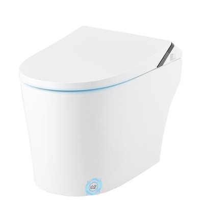 Smart Bidet Toilet, ADA Comfort Height with Heated Seat, Warm Dryer, and Foot Sensor