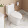 Ally Dual-Flush Elongated One-Piece Toilet with Glazed Surface Modern Toilet with Comfort Seat Height  (Seat Included)