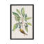 «Études», impression sur toile-30008380-72449767-72449769