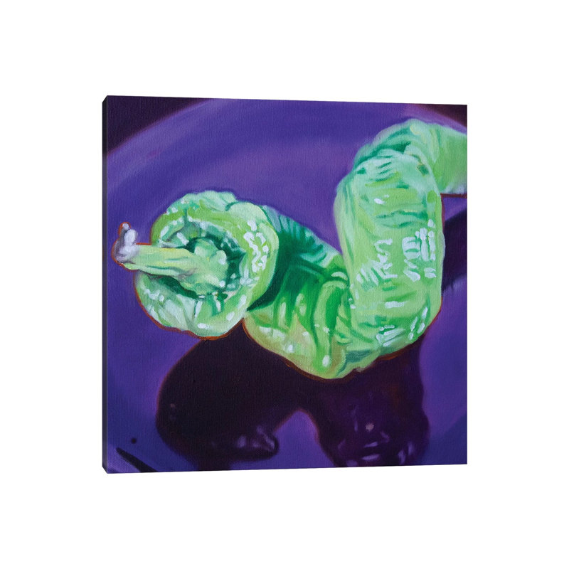 Curly Pepper by Andrea Alvin - Print on Canvas, 66.04 cm H x 66.04 cm W x 3.175 cm D, Wrapped Canvas