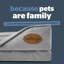 Silentnight Orthopaedic Luxury Pet Bed-383887913-309262712