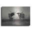 «Longhorns» par Debra Van Swearingen