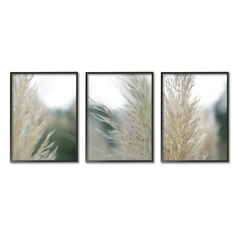 Breezy Pampas Tall Grass par Jason Johnson - Ensemble de 3 photographies sur bois, H 30 po x l 72 po x P 1,5 po