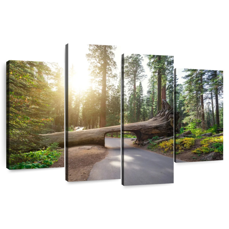 Mehar Sequoia Log Tunnel Road, 32" H x 52" W