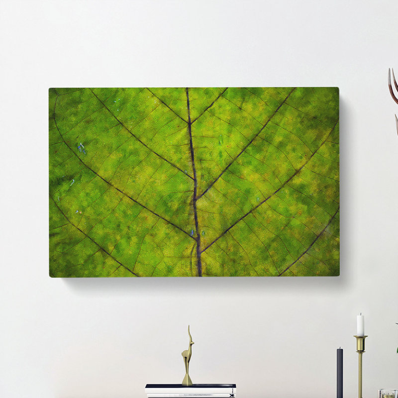 Lines Of The Leaf - Wrapped Canvas, 45cm H x 76cm W x 4cm D