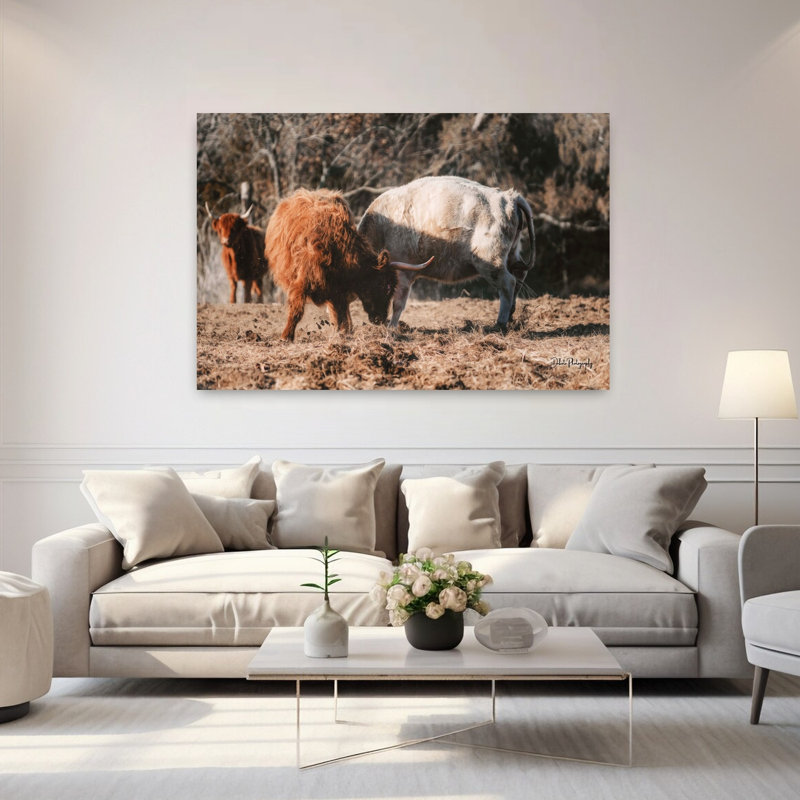 Highland Fight, abstrait, vache, paysage naturel, art, H 60 po x l 40 po