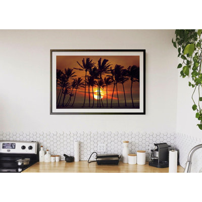 "Beyond The Palms"
