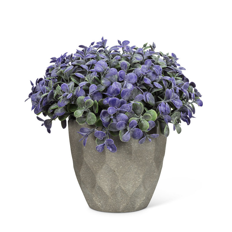 Arrangement floral mixte en pot