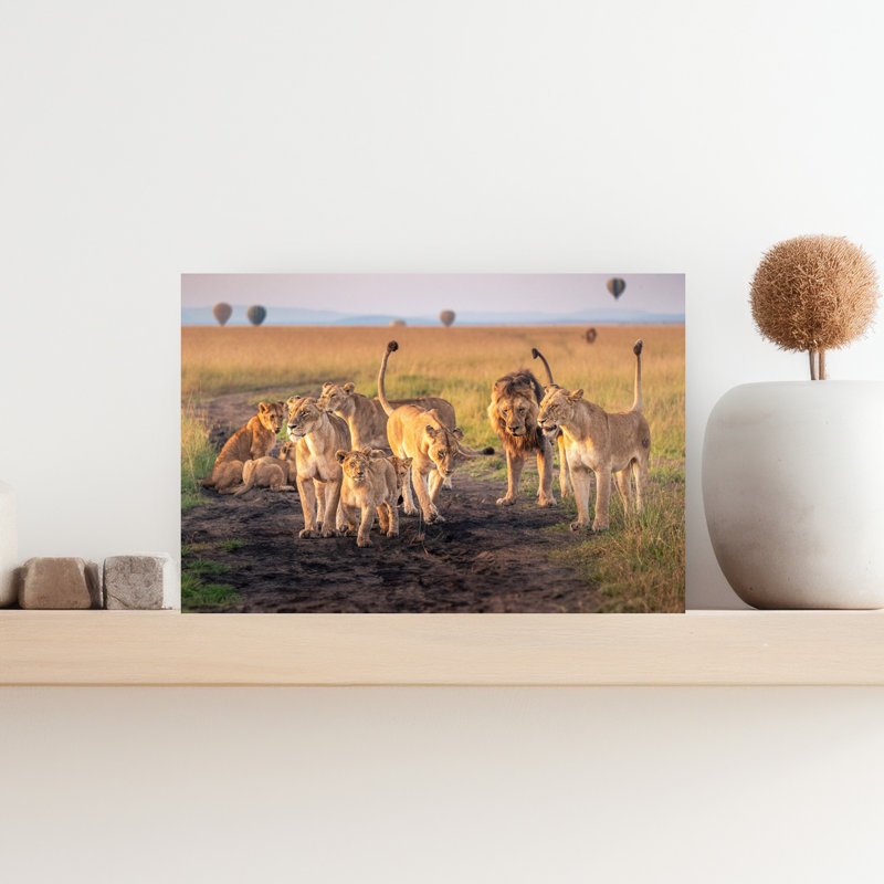 African Lion Family Sunrise Abstract Contemporary Landscape Nature Wall Art Print 1 Piece Wrapped Canvas Wall Art