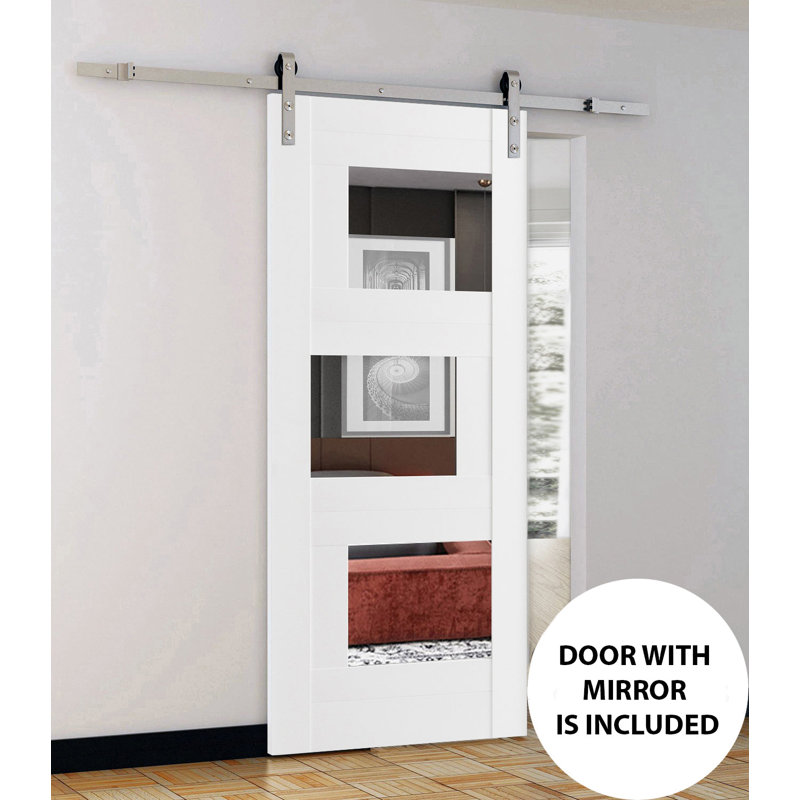 Porte de grange en bois à panneau de verre Quadro, 30 po x 84 po