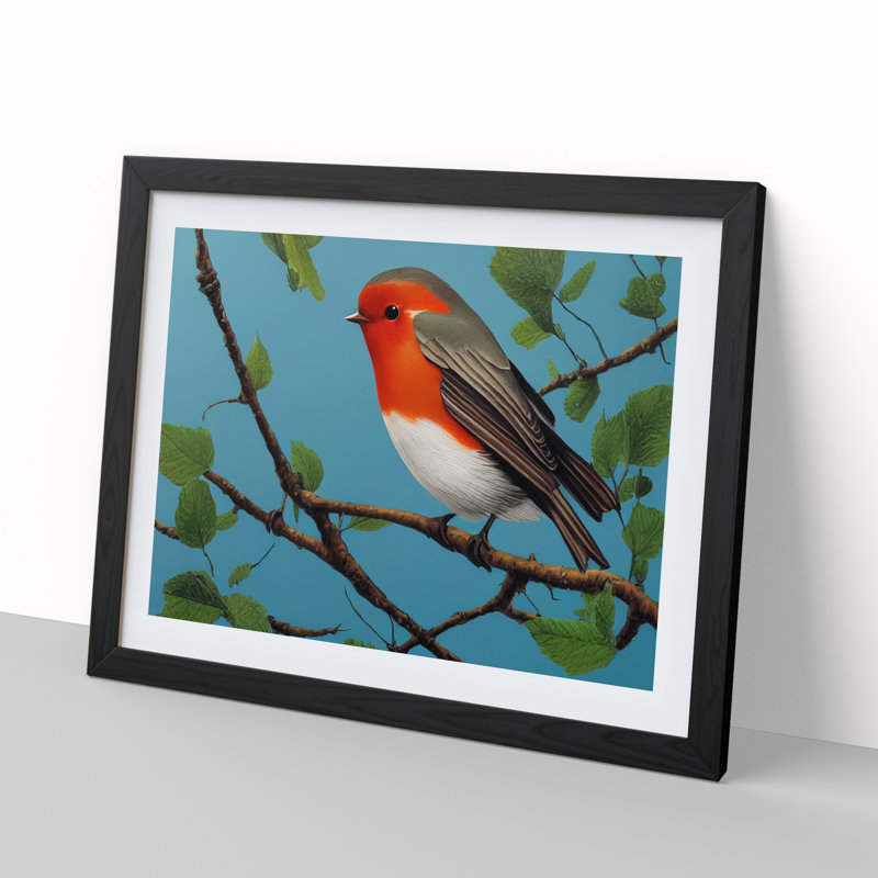 Astounding Robin Bird - Single Picture Frame Print, Black Framed, 46cm H x 64cm W x 2cm D