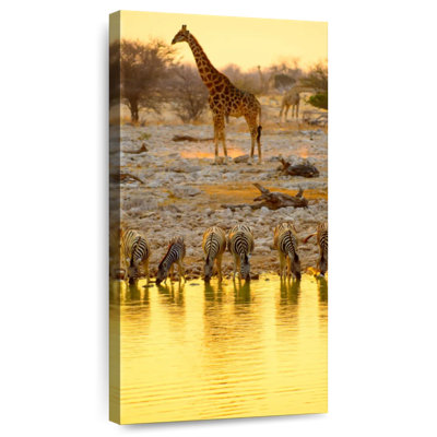 Animaux Etosha Park Safari