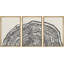 Duotone, bois noir, anneau, souche, neutre, art mural encadré sur toile, 3 pièces, reproduction d'art-1383408412-1383408413