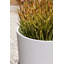 Pot à fleurs Pure Series-57370071-69930339-69930340