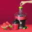 Nutribullet Juicer