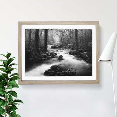 Forest Stream - Framed Print