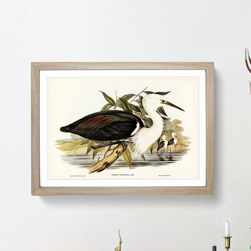 Pacific Herons by Elizabeth Gould - Picture Frame Painting Print, 36cm H x 48cm W x 2cm D, Oak Framed