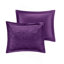 Ensemble d'édredon en velours simple / simple TG avec coussin décoratif-119237248-119237250