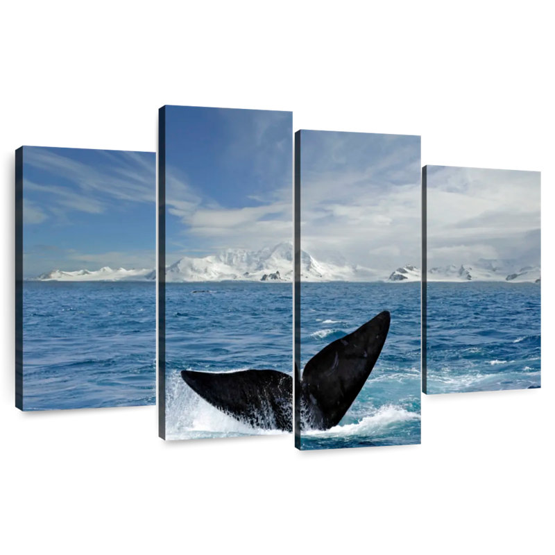 Nicci Antarctic Whale Tail, 27" H x 43" W