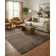 Arendtsville Indoor Rug