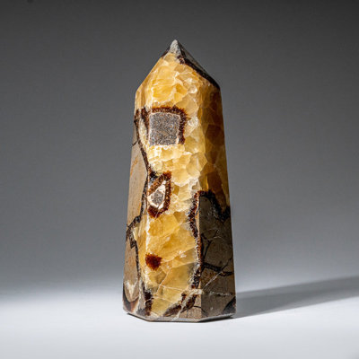 Genuine Polished Septarian Point from Madagascar (1.7 Lbs)