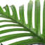 Artificial Palm Tree in Pot
