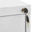 46 cm W 4 -Drawer Filing Cabinet-2033312193