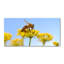 Lotella 50cm W x 100cm L Glass Peel and Stick Panel