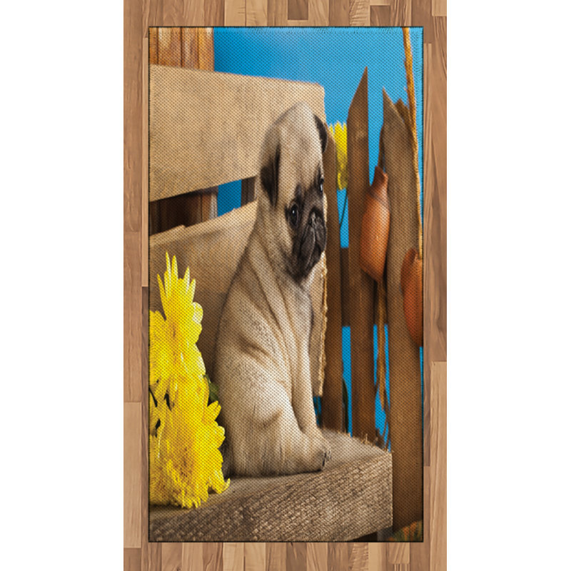 Pug High Density Long Fiber Poly Threads Decorative Area Rug Carpet, Rectangle 2'7" x 5'