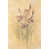 Wrapped Canvas