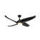Coronado 55.62'' Ceiling Fan with LED Lights
