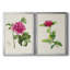 «Pretty Pink Botanicals I», ensemble de 2 reproductions d'art sur toile encadrées-107163657-107163661