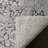 Calidia Oriental Dark Gray/Cream Area Rug-60001063